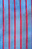 Robert Graham Red Stripe on Blue Check Tailored Fit Shirt
