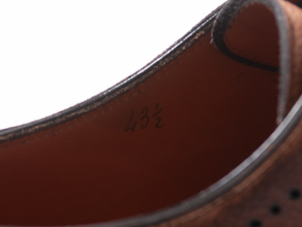 Bontoni Brown Leather Brogues