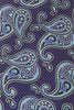 Canali 1934 Purple Paisley Tie