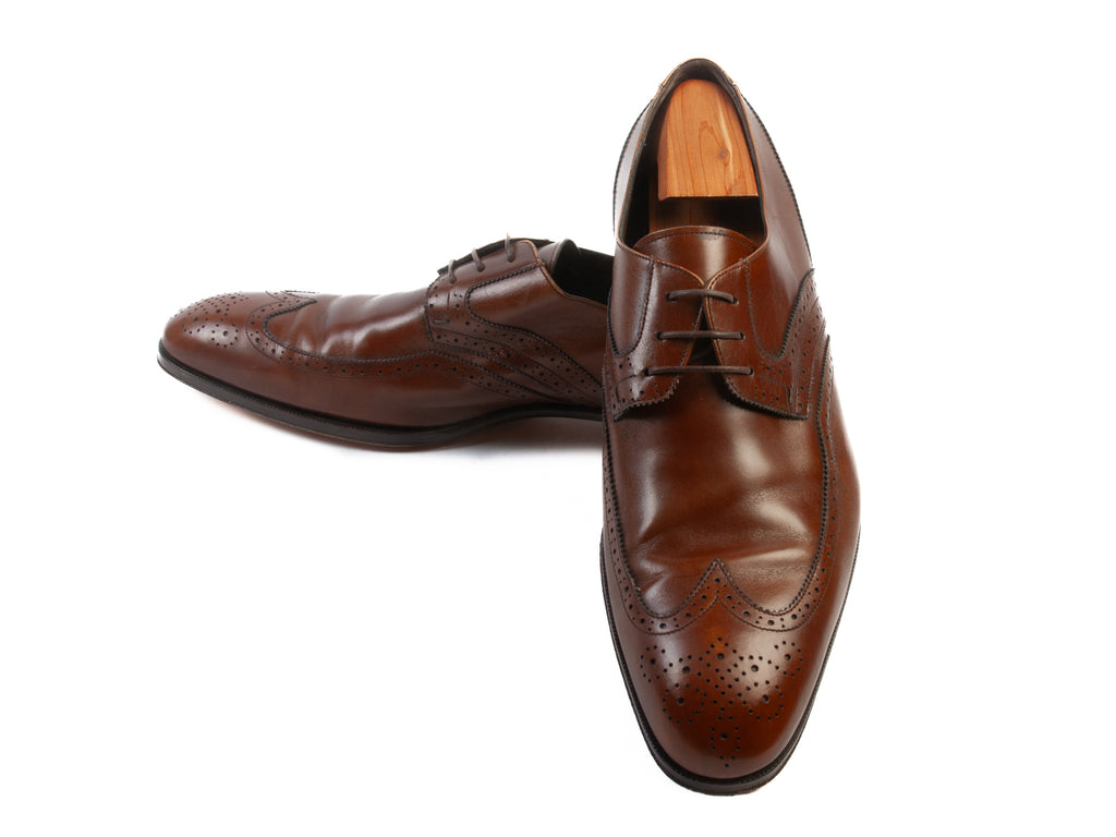 Salvatore Ferragamo Brown Longwing Shoes