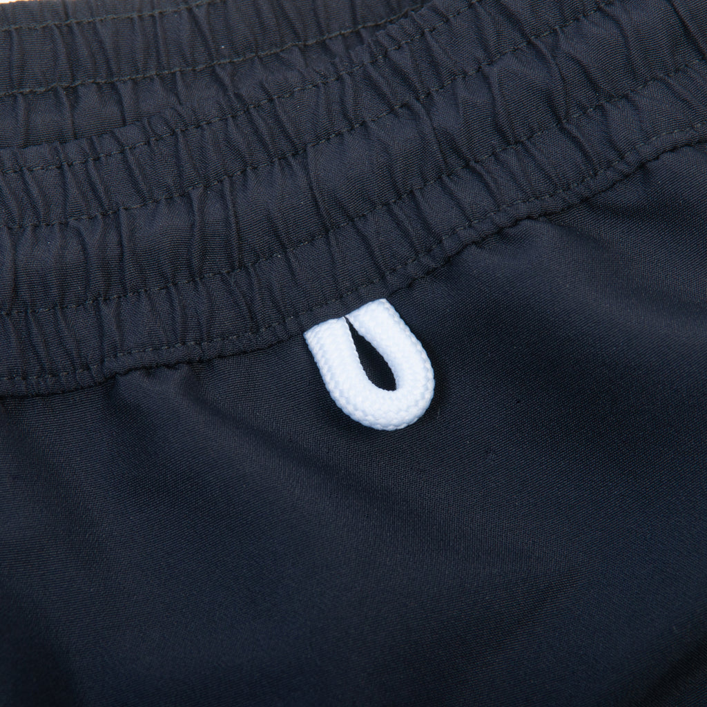 Loro Piana Navy Blue Swim Shorts