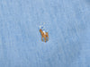 Polo Ralph Lauren Classic Fit Chambray Shirt