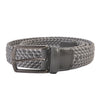 Zegna Grey Web Belt