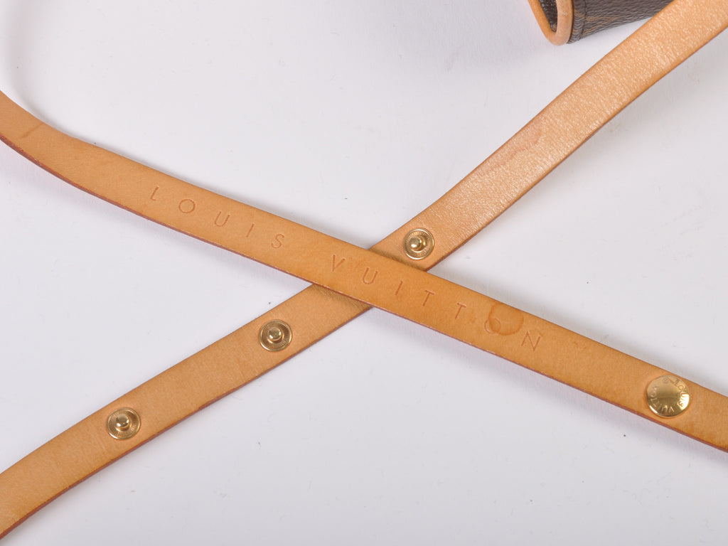 Louis Vuitton Monogram Pochette Florentine M67304 Waist Bag
